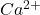 Rendered by QuickLaTeX.com Ca^{2+}
