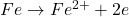 Fe \rightarrow Fe^{2+} + 2e