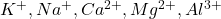 K^+, Na^+, Ca^{2+}, Mg^{2+}, Al^{3+}