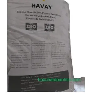 Alternative view of Choline (C5H14NO)