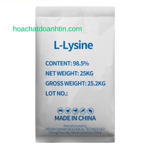 Lysine 3