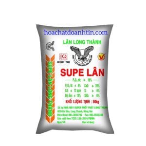 Supe Lân Long Thành