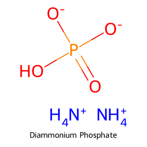 Cấu trúc hóa học 2D của Diammonium Phosphate (NH₄)₂HPO₄