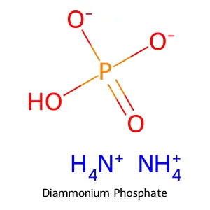 Cấu trúc hóa học 2D của Diammonium Phosphate (NH₄)₂HPO₄