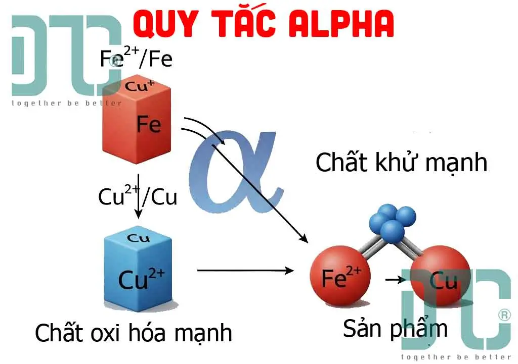 Minh họa Quy tắc Alpha trong dãy điện hóa với cặp Fe và Cu