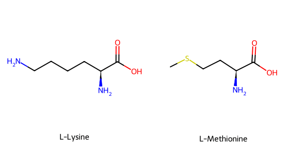 Sơ đồ cấu trúc phân tử 2D của L-Lysine và L-Methionine
