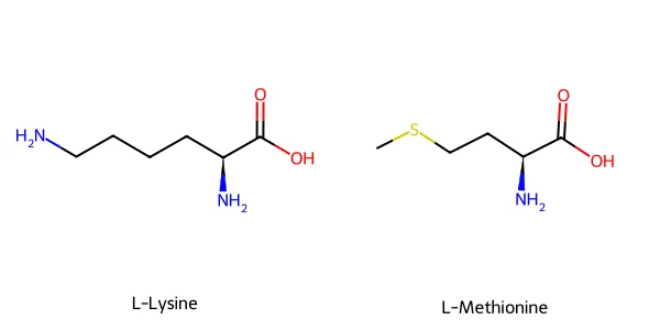 Sơ đồ cấu trúc phân tử 2D của L-Lysine và L-Methionine