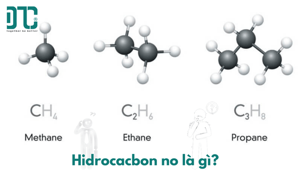 Hidrocacbon no là gì?