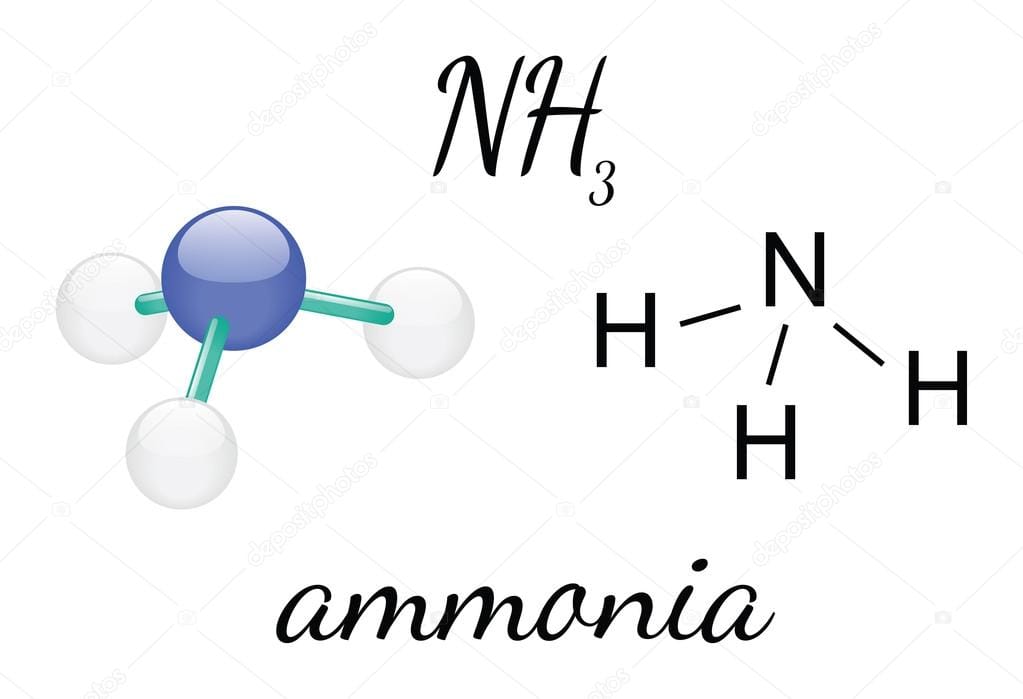 Mô hình phân tử Amoniac (NH₃)