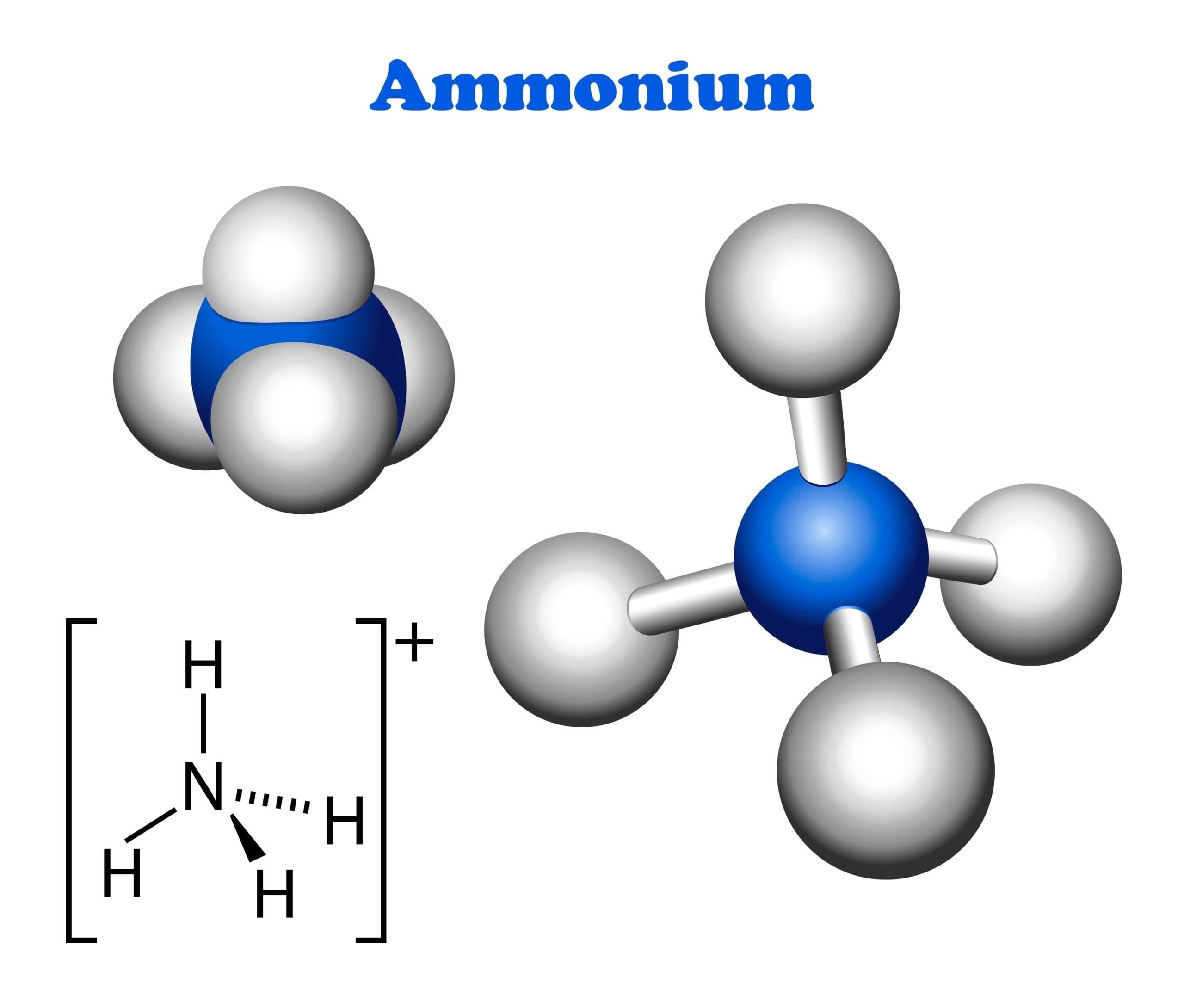 Cấu trúc phân tử ion của Amoni Clorua.