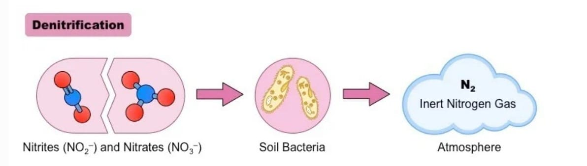 Sơ đồ quá trình hòa tan thu nhiệt của Amoni Nitrat.