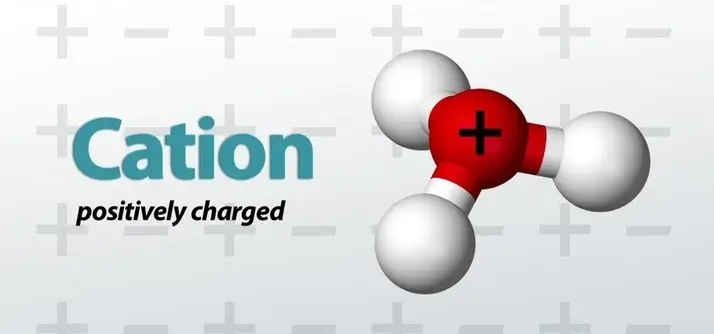 Phân loại các loại cation