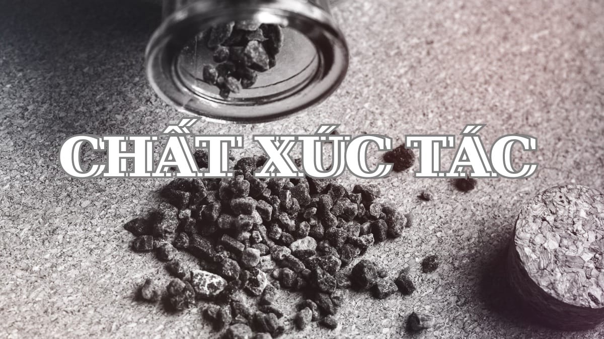 Khái niệm chất xúc tác là gì?