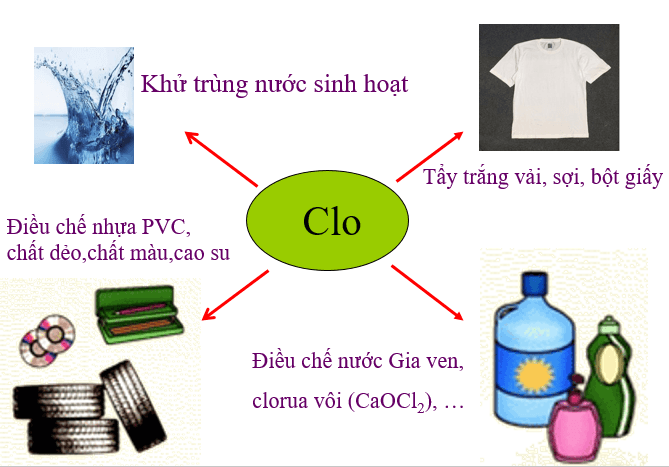 Cơ chế khử trùng bằng oxy hóa của nước chlorine.