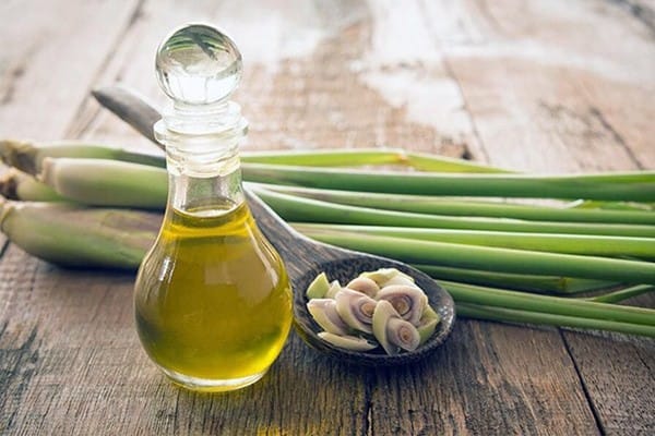 Quá trình chưng cất cho thành phẩm tinh dầu nguyên chất