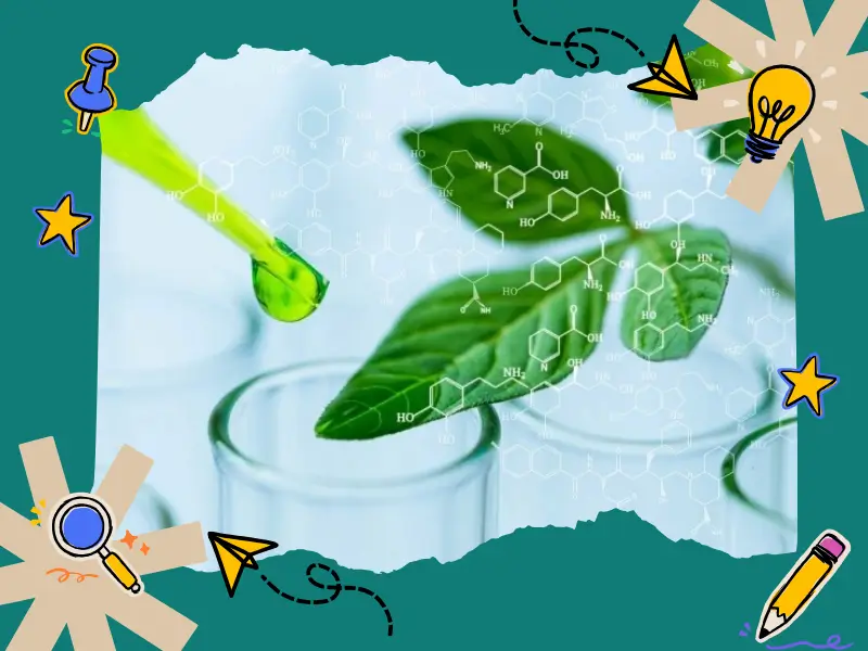 Phương pháp điều chế C4H8O2 hiệu quả