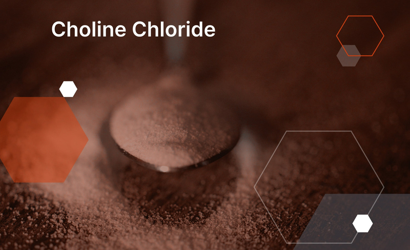 Choline Chloride là gì đến đây bạn đã biết rồi chứ?