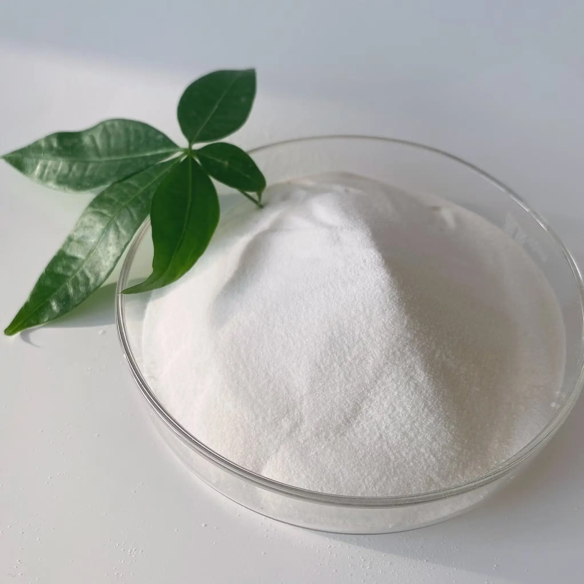 Bột Natri Fomat (HCOONa) tinh khiết do Hóa Chất Doanh Tín cung cấp.