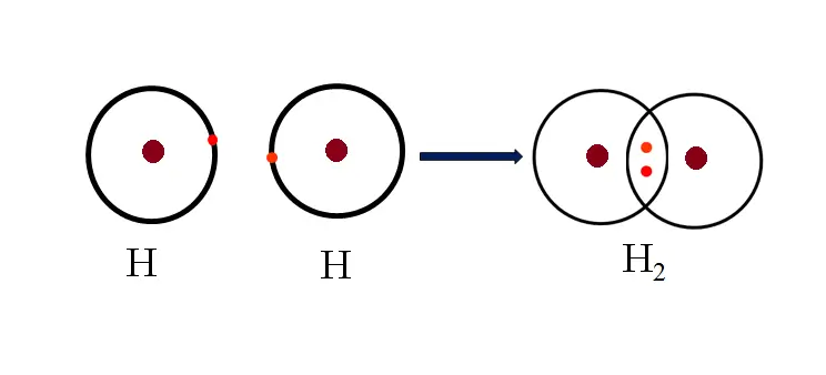 Các loại liên kết cộng hóa trị phổ biến hiện nay