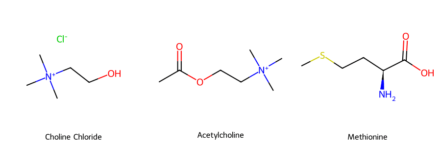 Vai trò sinh hóa không thể thay thế của Choline Chloride là gì?