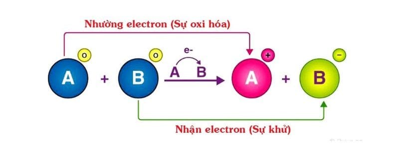 Sơ đồ minh họa một nguyên tử chất khử (Zn) nhường electron cho một ion chất oxi hóa (Cu²⁺).
