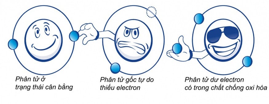 Chất oxi hóa là gì? Chất oxi hóa là phân tử nằm giữa, thiếu electron nên chuyên đi cướp electron của chất khác