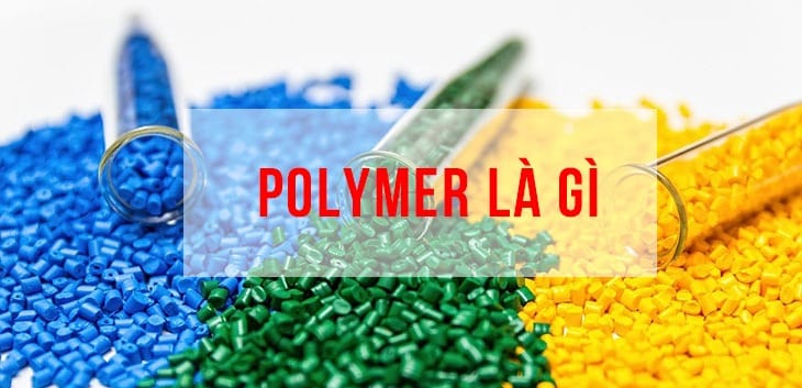 Khái niệm đơn giản của Polymer là gì?