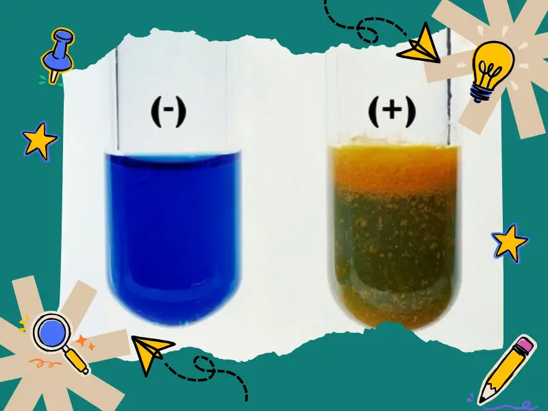 Cách pha chế thuốc thử Fehling