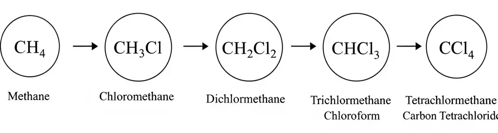 các sản phẩm clo hóa methane