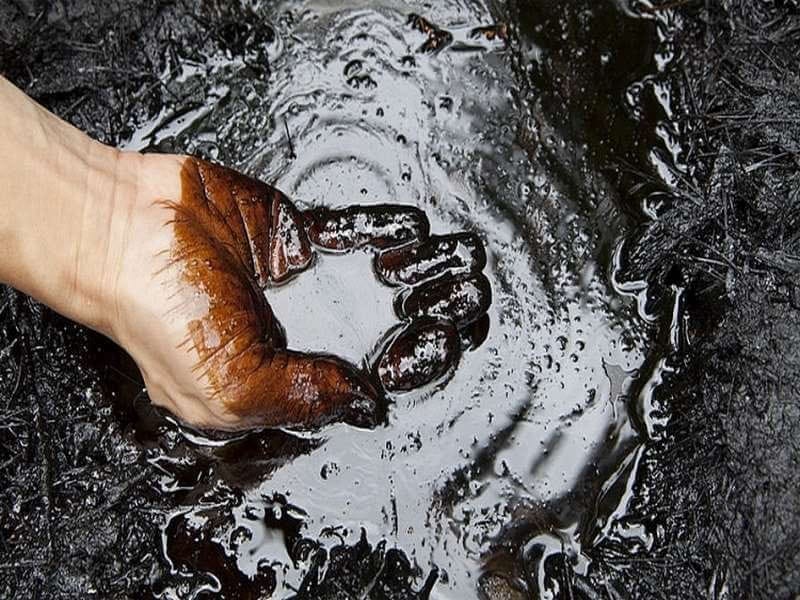 Dầu mỏ hay dầu thô có dạng sánh, màu nâu đen, có mùi đặc trưng