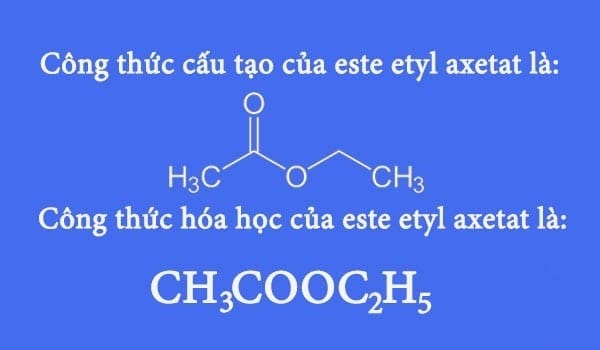 Sơ đồ cấu trúc phân tử CH3COOC2H5