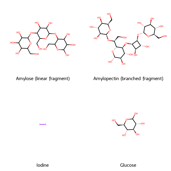 Cấu trúc hóa học của Amylose, Amylopectin, Iot và Glucose