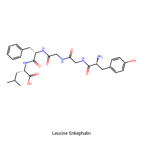 Cấu trúc hóa học của Leucine Enkephalin