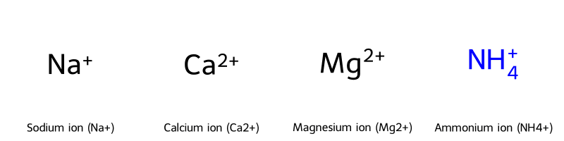 Mô hình các cation phổ biến Na+, Ca2+, Mg2+, NH4+
