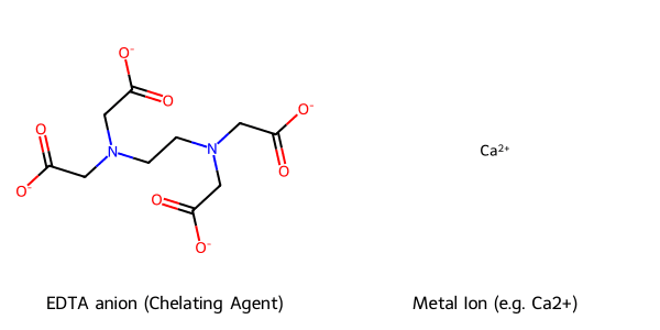 Sơ đồ minh họa Cơ chế Chelat hóa của EDTA