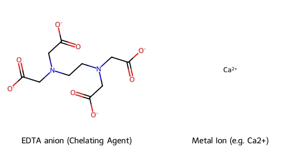 Sơ đồ minh họa Cơ chế Chelat hóa của EDTA