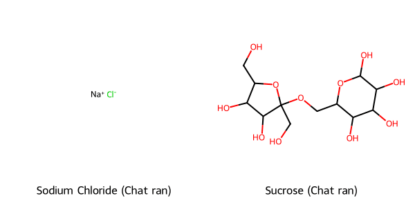Sơ đồ minh họa phân tử muối NaCl và đường Sucrose có thể tách bằng phương pháp cô cạn