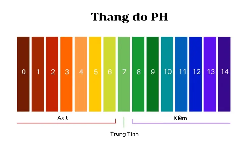Thang đo pH từ 0-14 có ý nghĩa như thế nào?