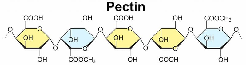 Cấu trúc phân tử pectin.