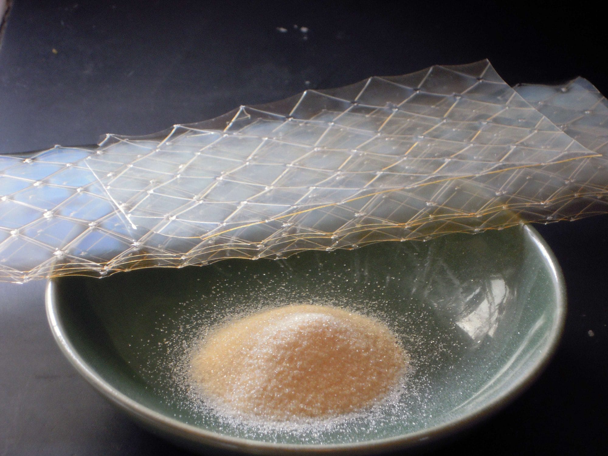 Gelatin là gì?