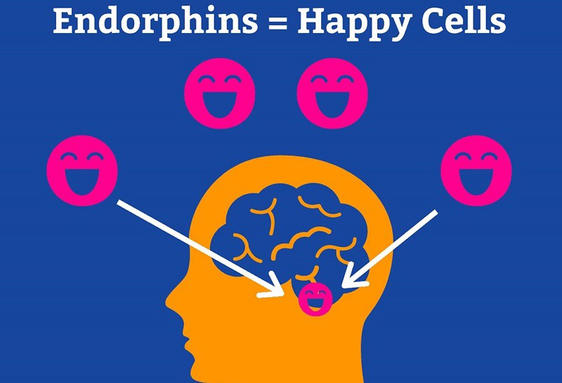Endorphin là gì?