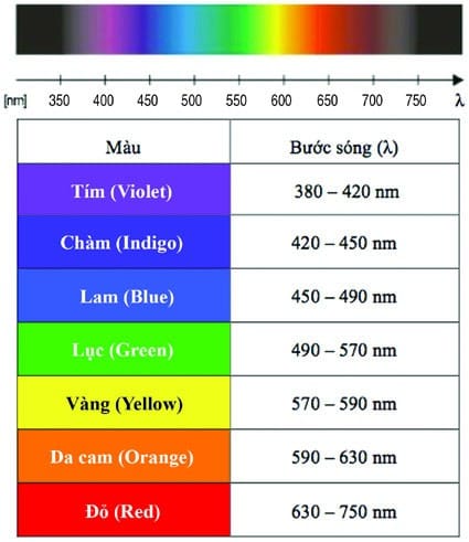 Màu chàm nằm ở vị trí giữa màu xanh lam và màu tím