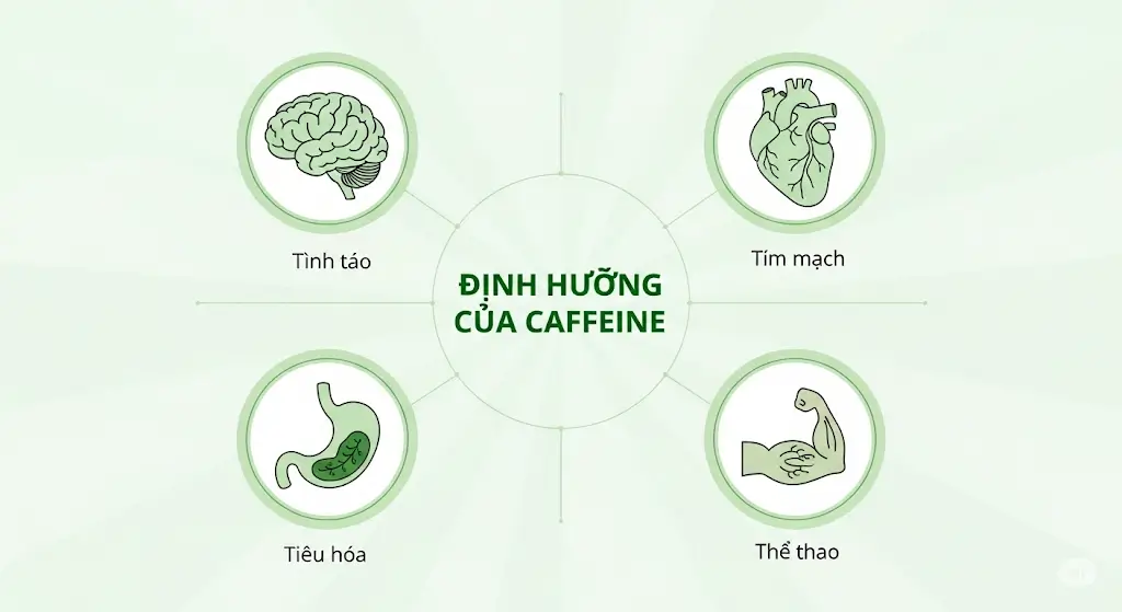 Tác dụng của caffeine đối với sức khỏe