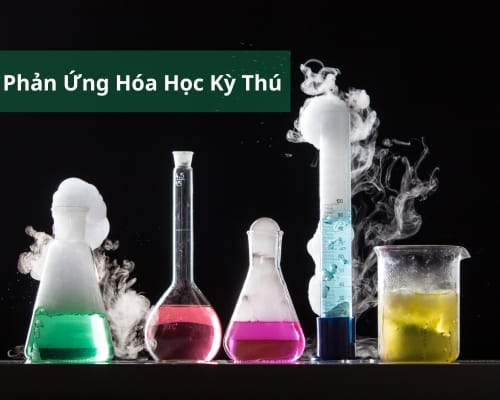 Hiện Tượng Hóa Học Thú Vị
