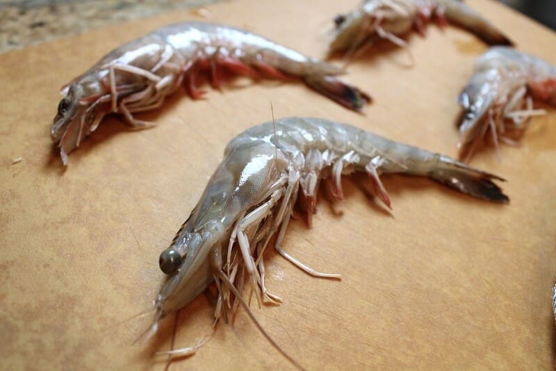 Tôm Chết Hàng Loạt