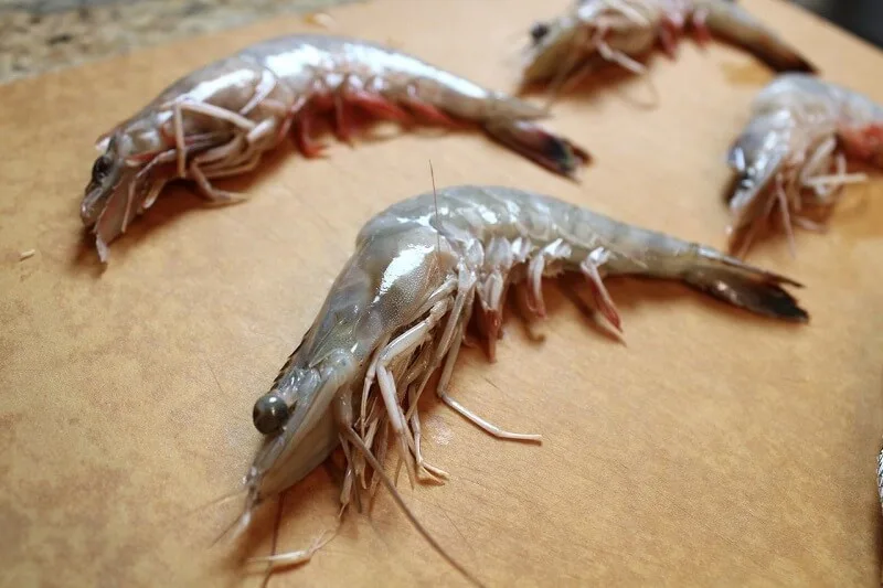 Tôm Chết Hàng Loạt