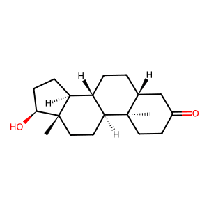 Cấu trúc phân tử của Testosterone - hormone gốc của AAS.