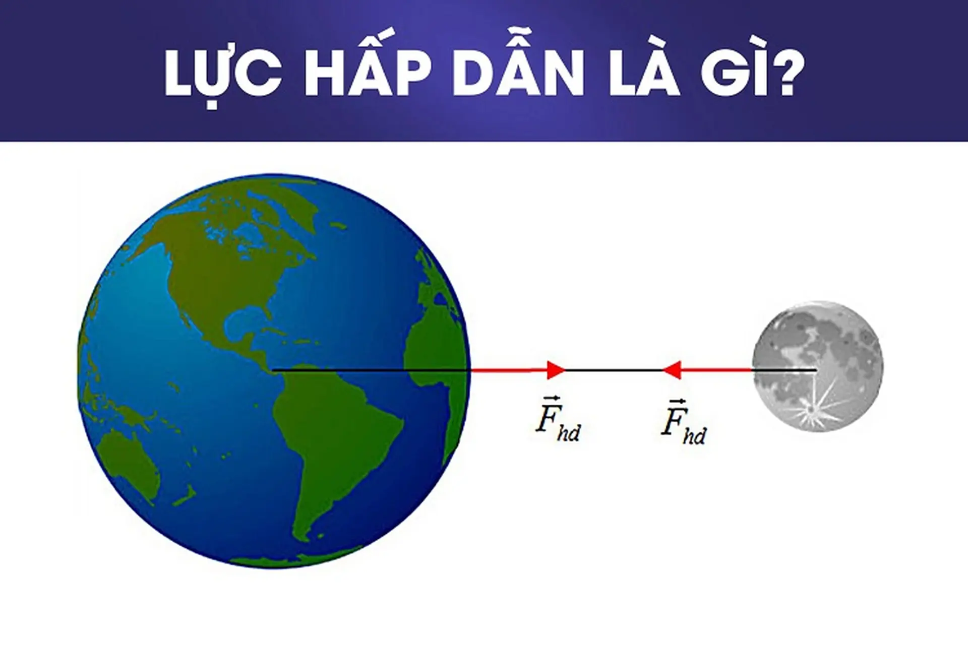 Lực Hấp Dẫn Là Gì?