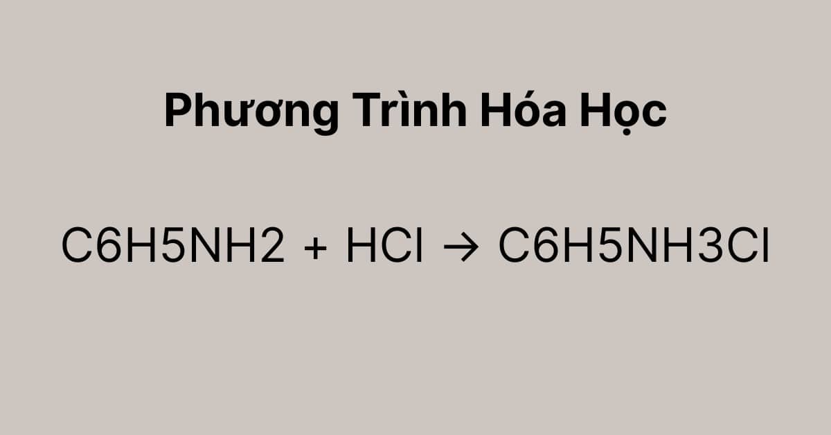 C6H5NH2 + HCl → C6H5NH3Cl