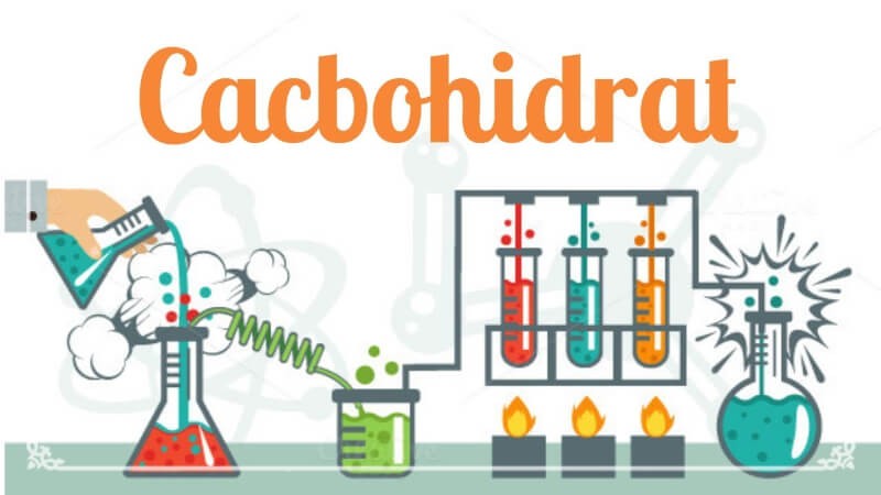 Hình 1: Cacbohidrat (Carbohydrate) hay gluxit hoặc saccarit